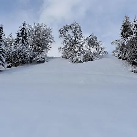 Am Berg Lägenhet