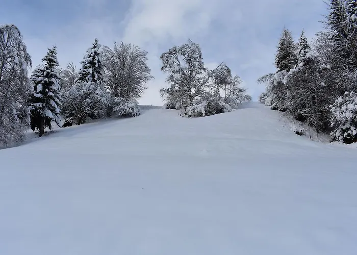 Am Berg Daire